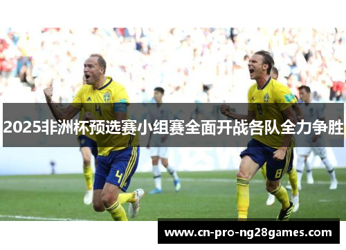 2025非洲杯预选赛小组赛全面开战各队全力争胜 2025非洲杯预选赛小组赛全面开战各队全力争胜